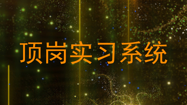 顶岗实习系统