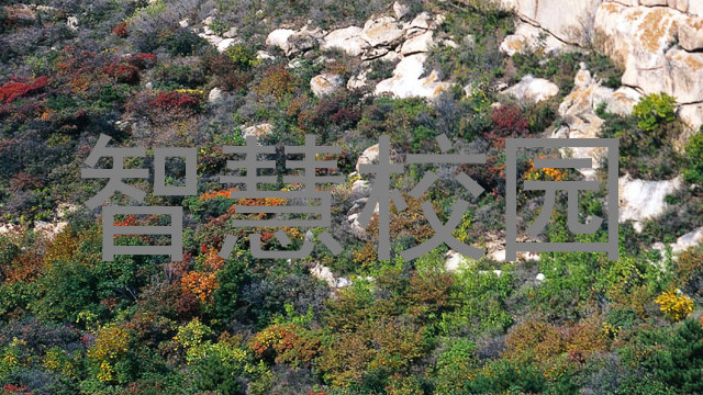 智慧校园
