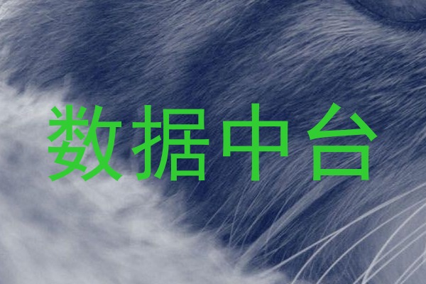 数据中台