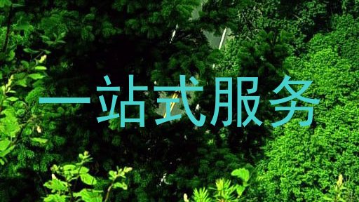 一站式服务