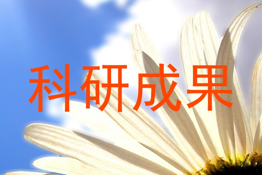 科研成果