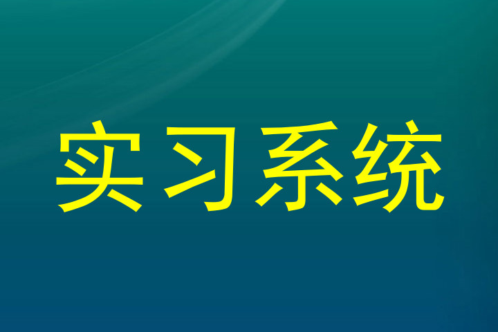 实习系统