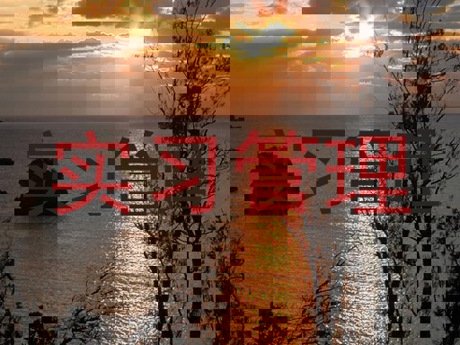 实习管理