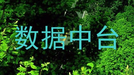 数据中台