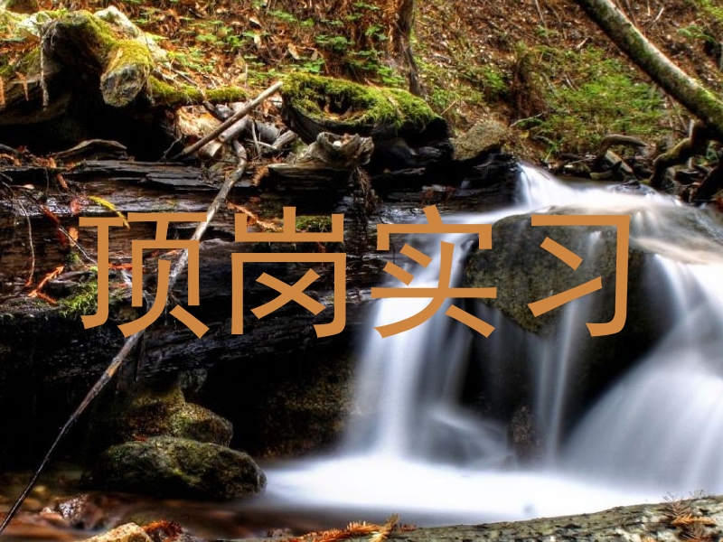 顶岗实习