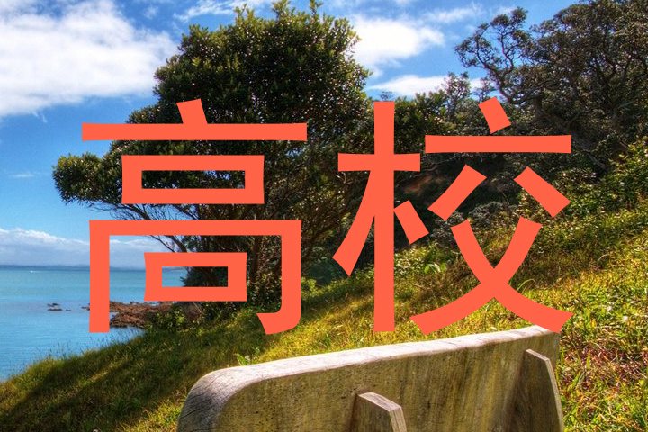 高校