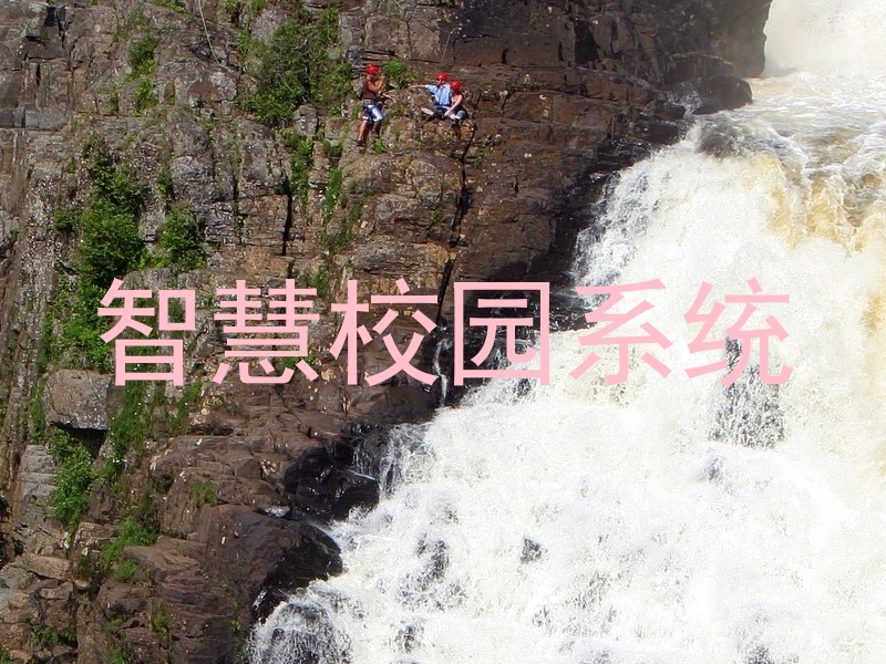 智慧校园系统