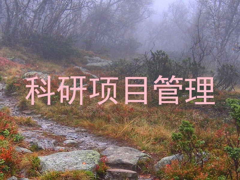 科研项目管理