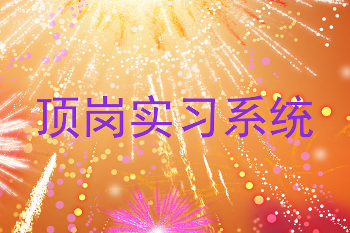 顶岗实习系统