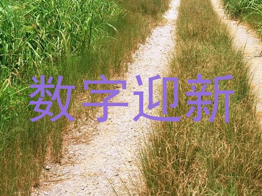 数字迎新