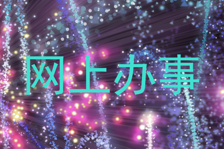 网上办事