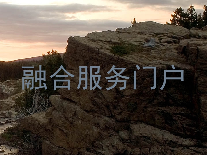 融合服务门户