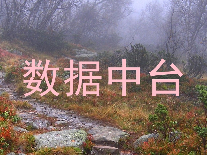 数据中台