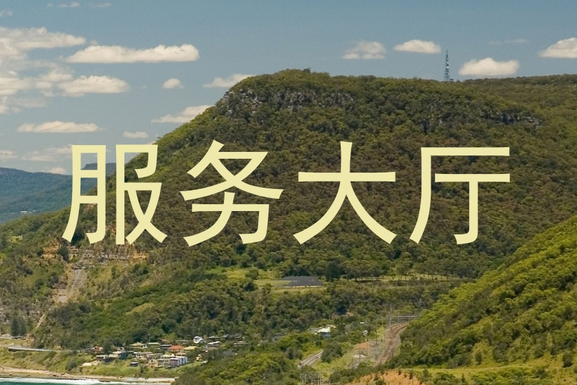 服务大厅