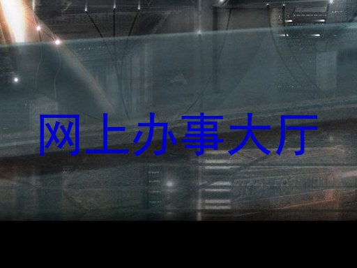 网上办事大厅