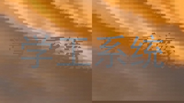 学工系统