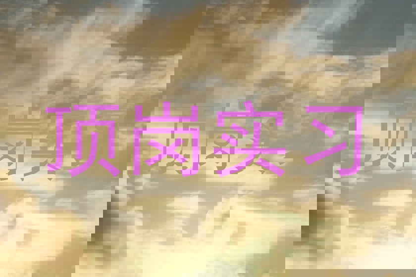 顶岗实习