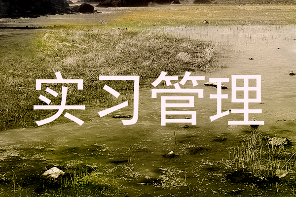 实习管理