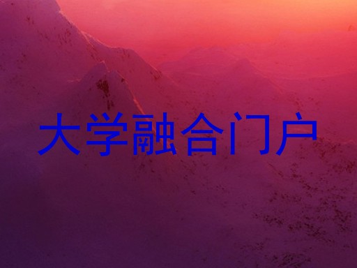 大学融合门户