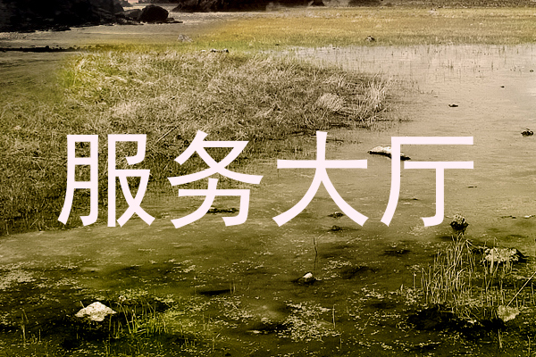 服务大厅
