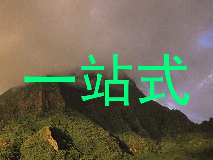 一站式