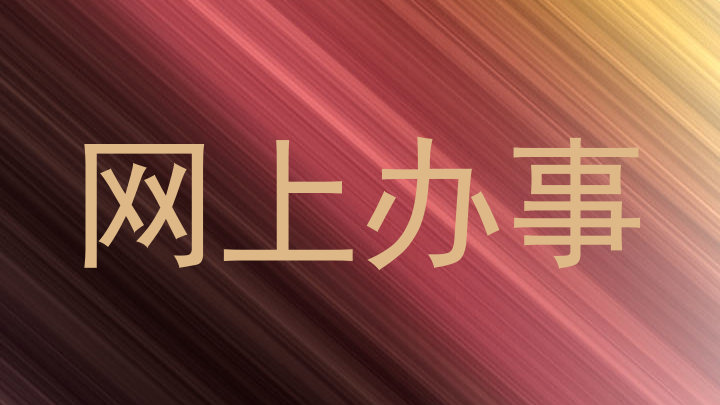网上办事
