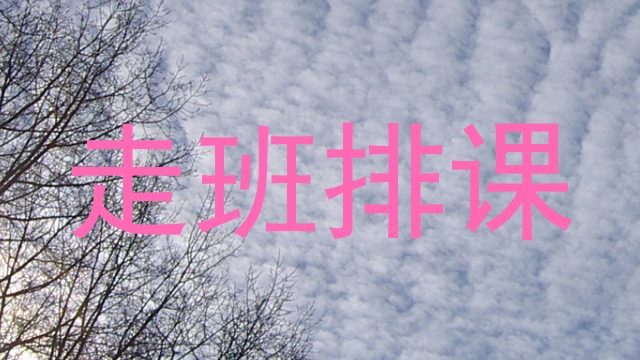 走班排课