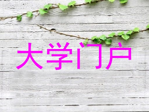 大学门户