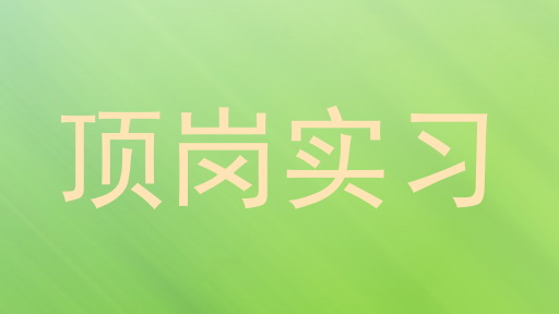 顶岗实习