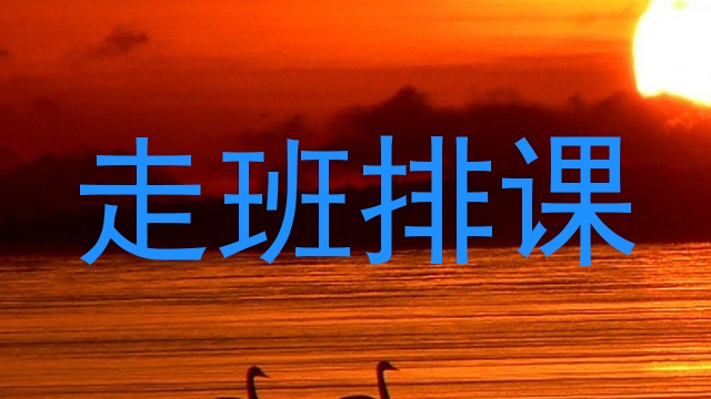 走班排课