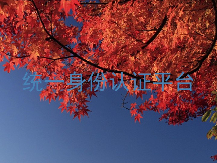 统一身份认证平台