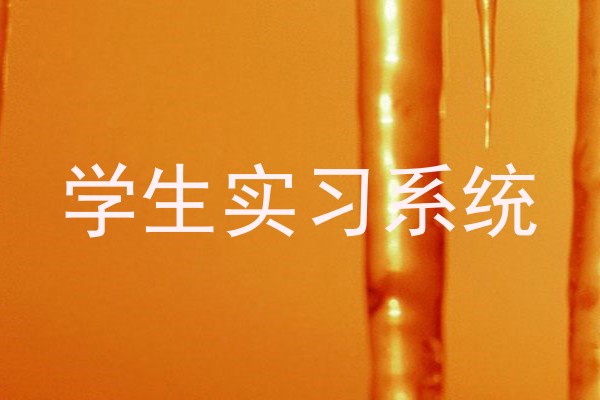 学生实习系统