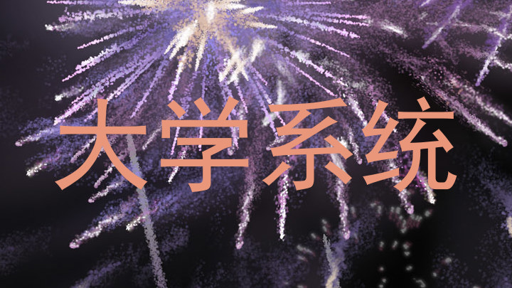 大学系统