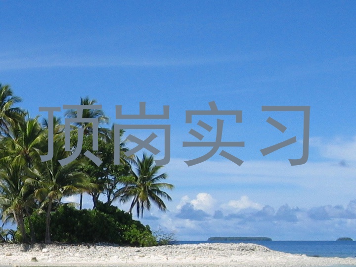 顶岗实习