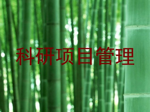 科研项目管理