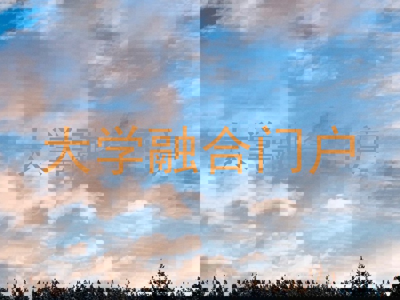 大学融合门户