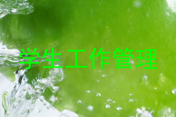 学生工作管理