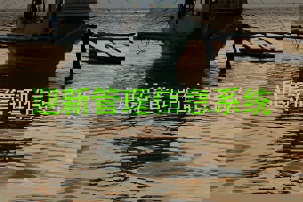 迎新管理信息系统