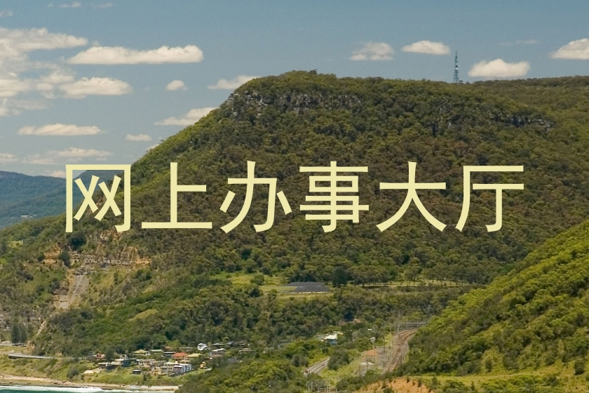 网上办事大厅