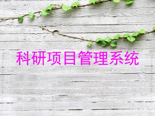 科研项目管理系统