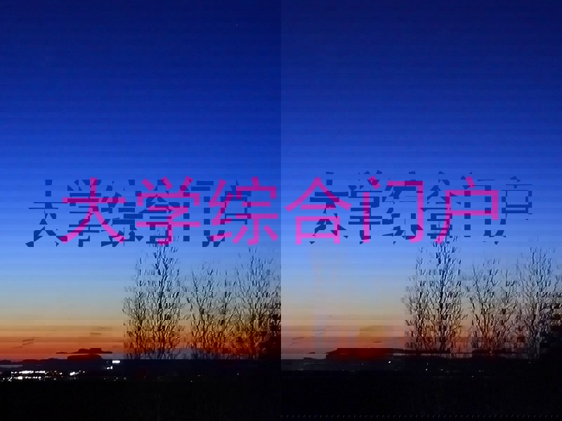 大学综合门户