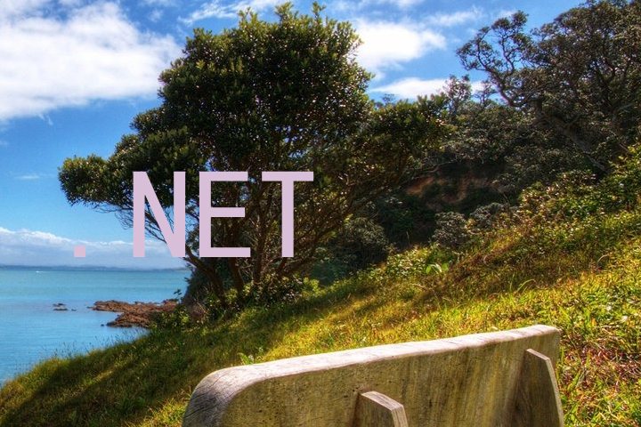 .NET