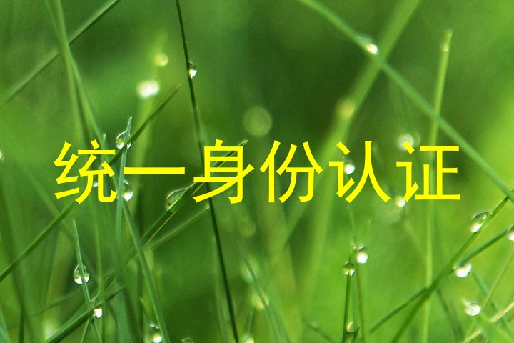 统一身份认证