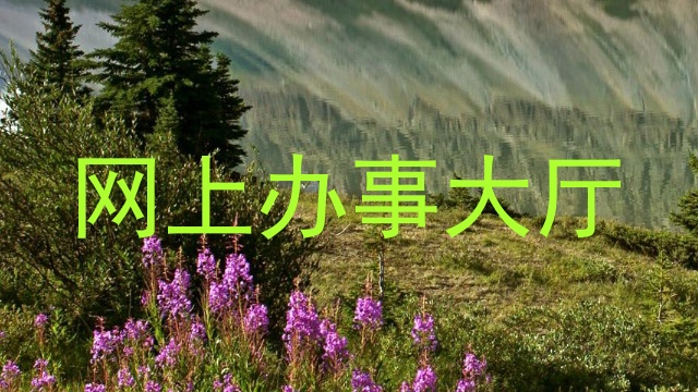 网上办事大厅