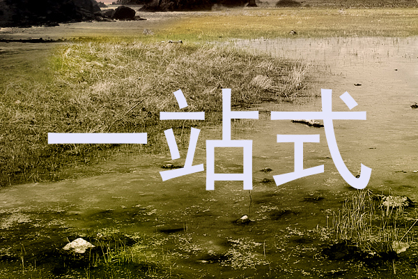 一站式