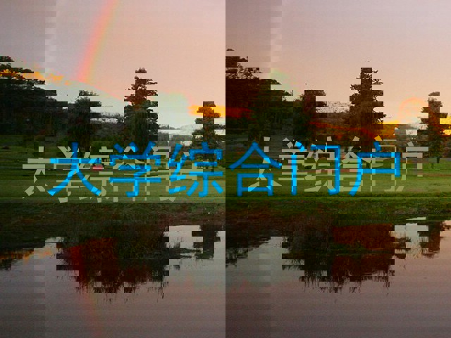 大学综合门户