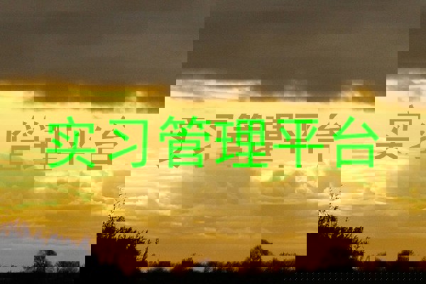 实习管理平台