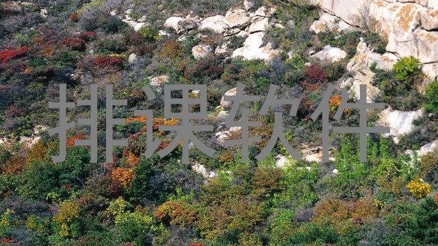 排课软件