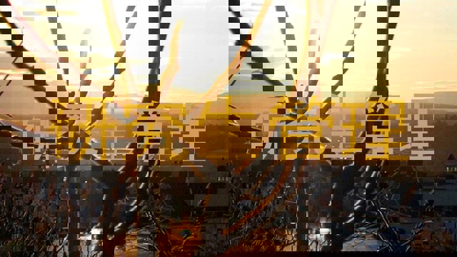 研究生管理