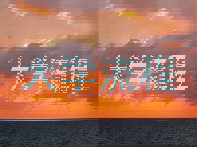 大学流程